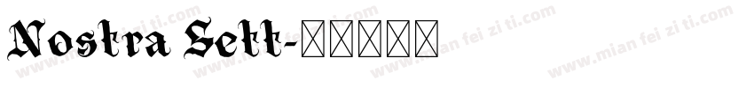 Nostra Sett字体转换